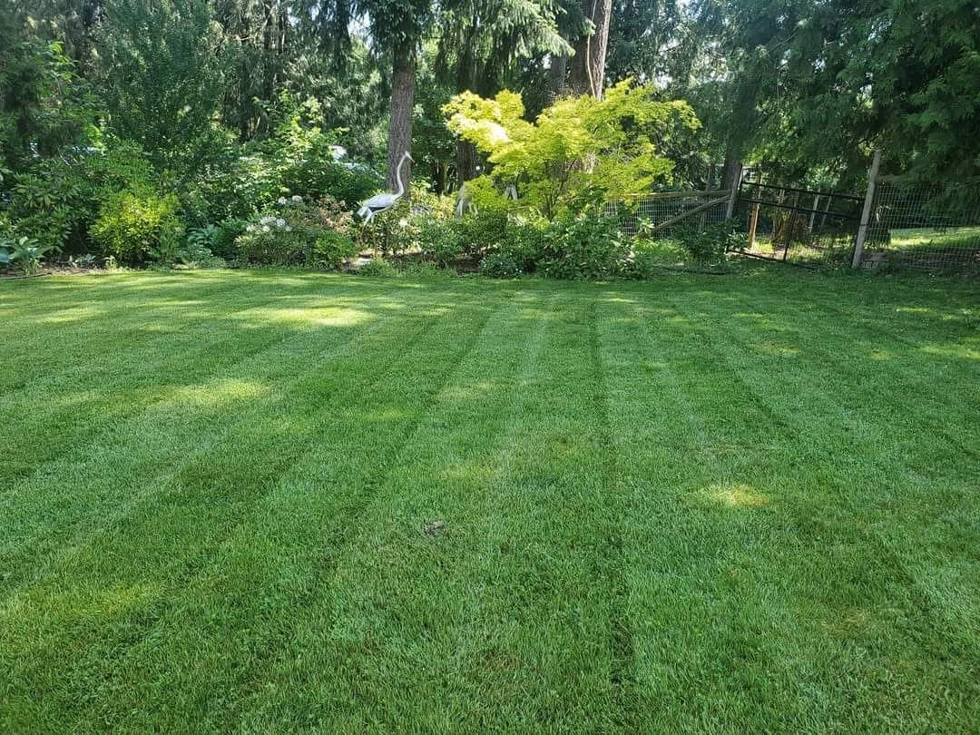 Sean's Lawns project photo 2