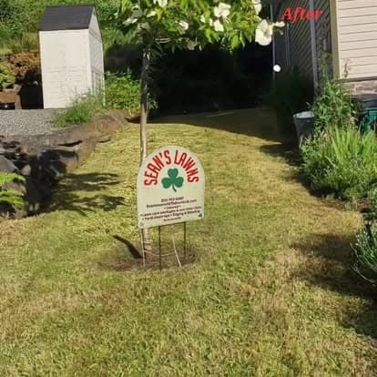Property Clean-Ups
